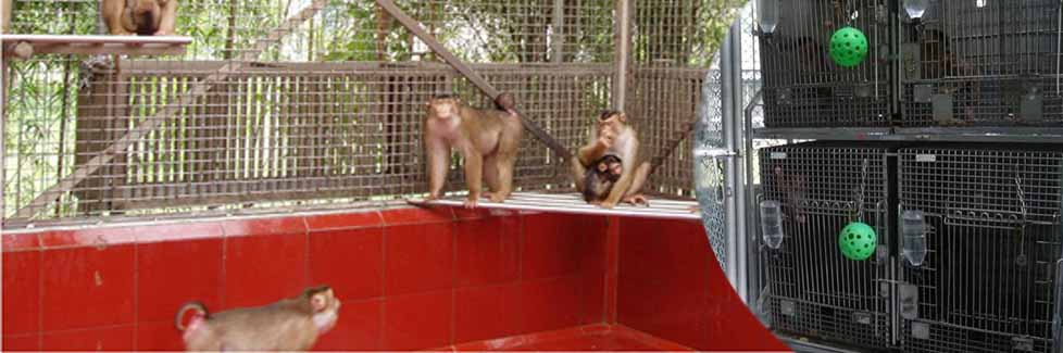 Karantina dan Penangkaran