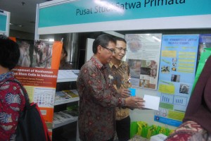 pameran pui