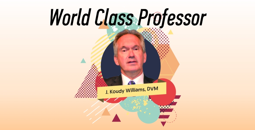 Series of Agenda World Class Professor with J Koudy Williams