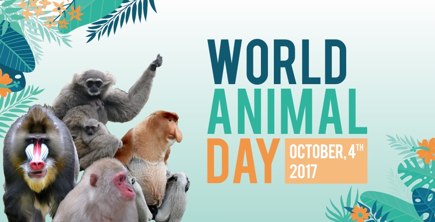 World Animal Day