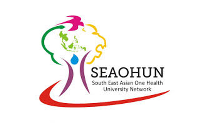 SEAOHUN Fellowship Awards 2018