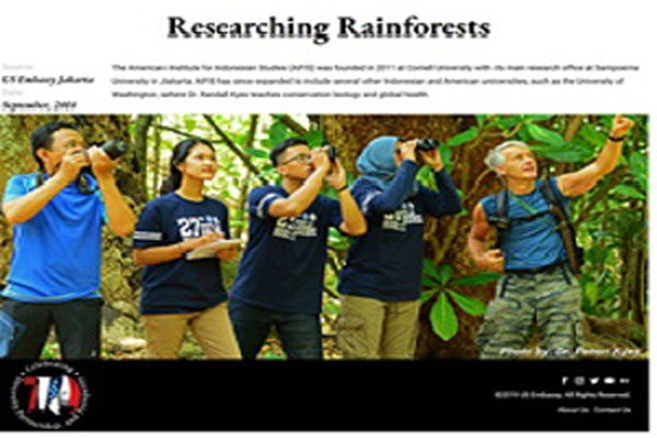 Researching Rainforests