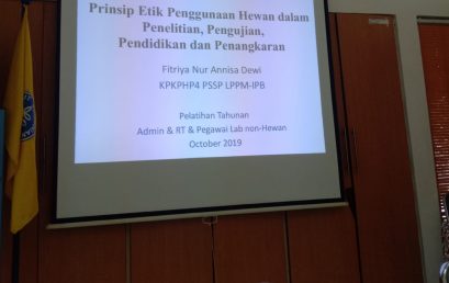 Program Pelatihan di PSSP