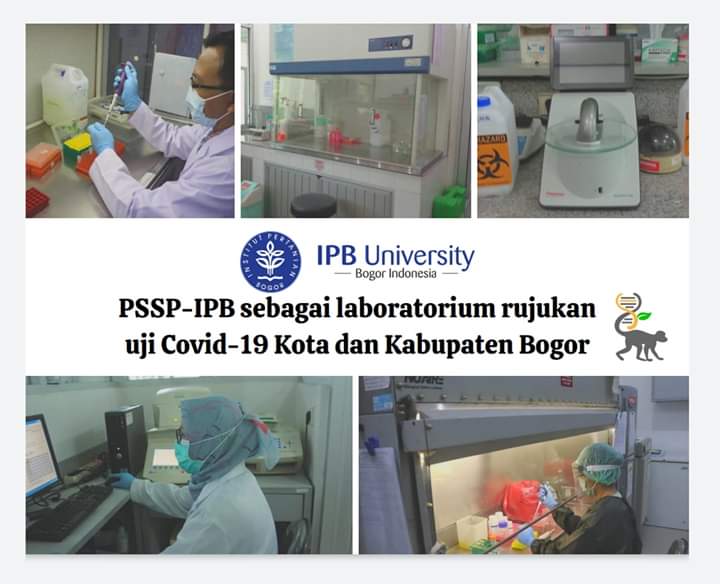 Laporan Pemeriksaan COVID-19 di Laboratorium PSSP LPPM-IPB