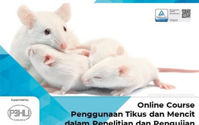 Online Course Penggunann Tikus dan Mencit dalam Penelitian dan Pengujian