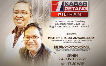 Harimau di Kebun Binatang Ragunan Terkena Covid-19, Bagaimana dengan Hewan Lainnya? – Bersama Dr drh Joko Pamungkas