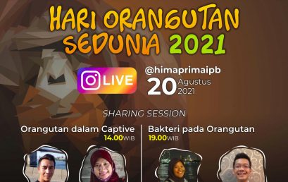 Orangutan Day 2021: IG Live Sharing Session @himaprimaipb