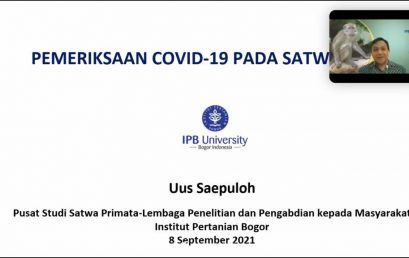 Vet Capacity Building: Pemeriksaan Covid-19 di Satwa Liar