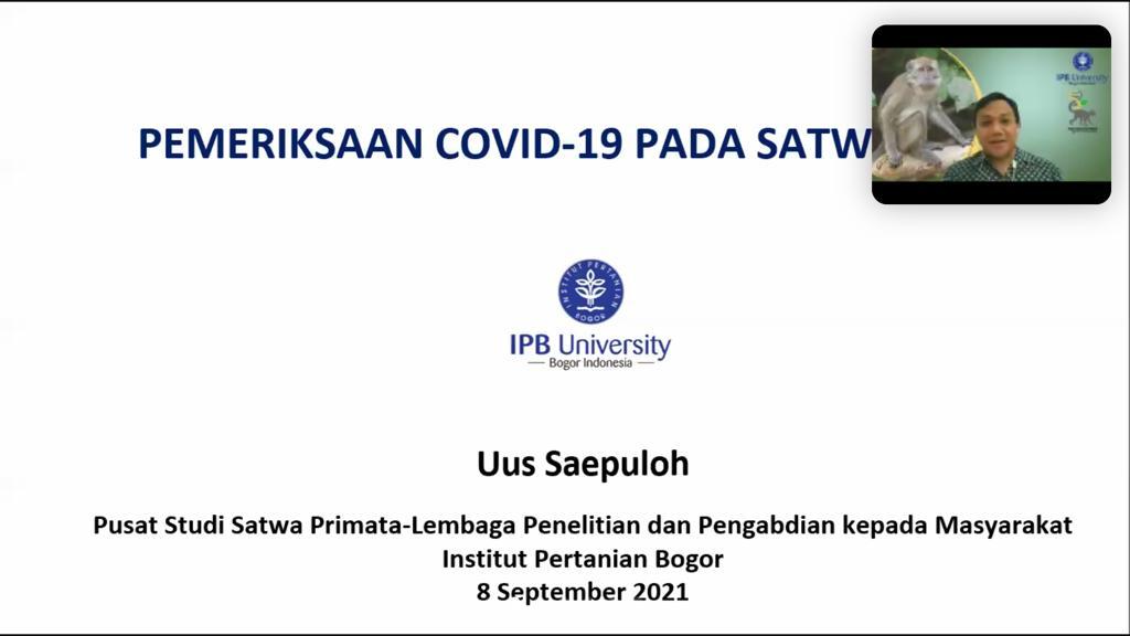 Vet Capacity Building: Pemeriksaan Covid-19 di Satwa Liar