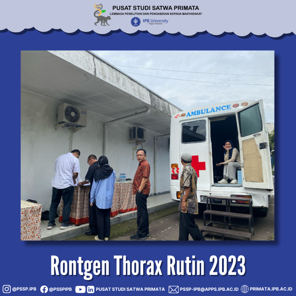 Rontgen Thorax Rutin 2023