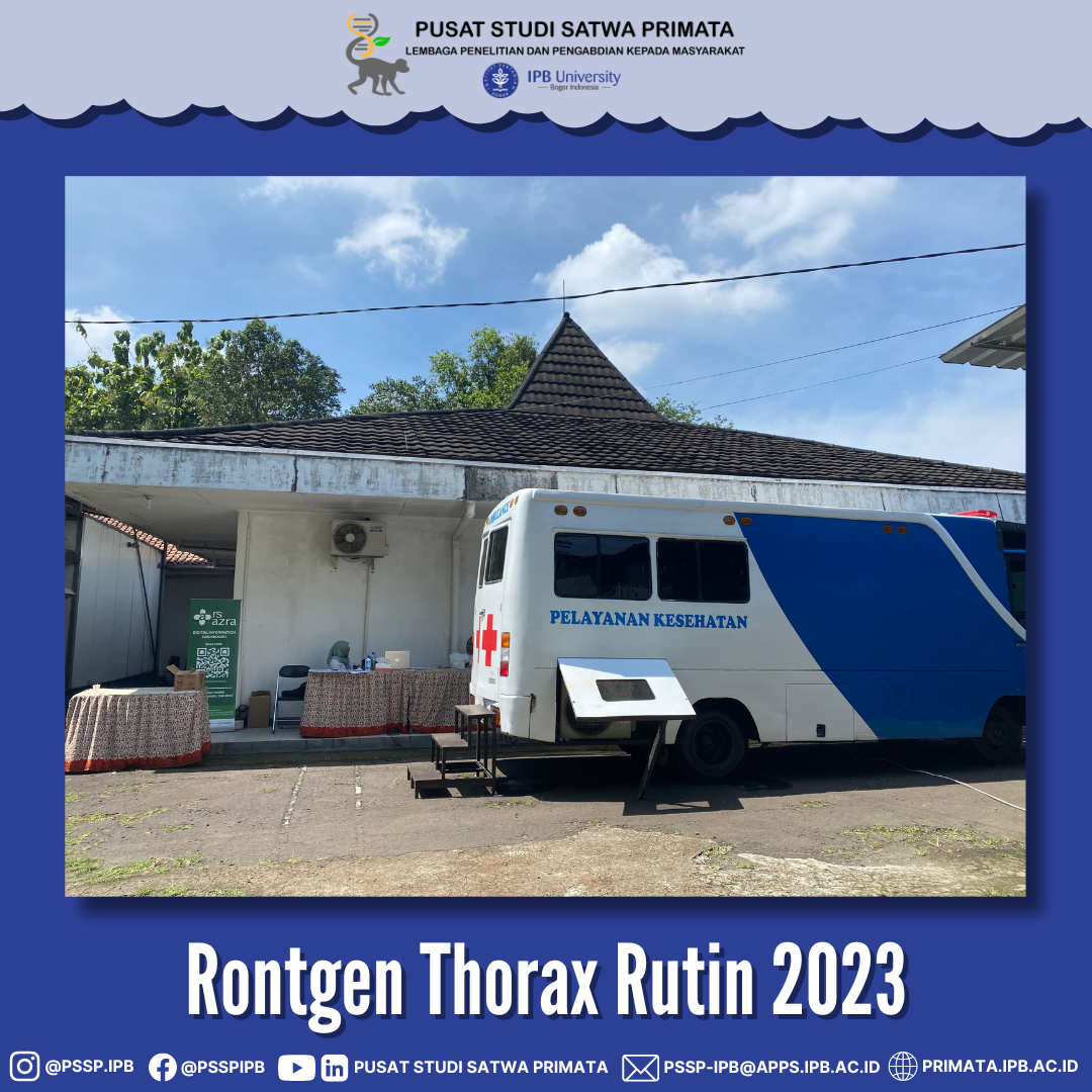 Rontgen Thorax Rutin 2023