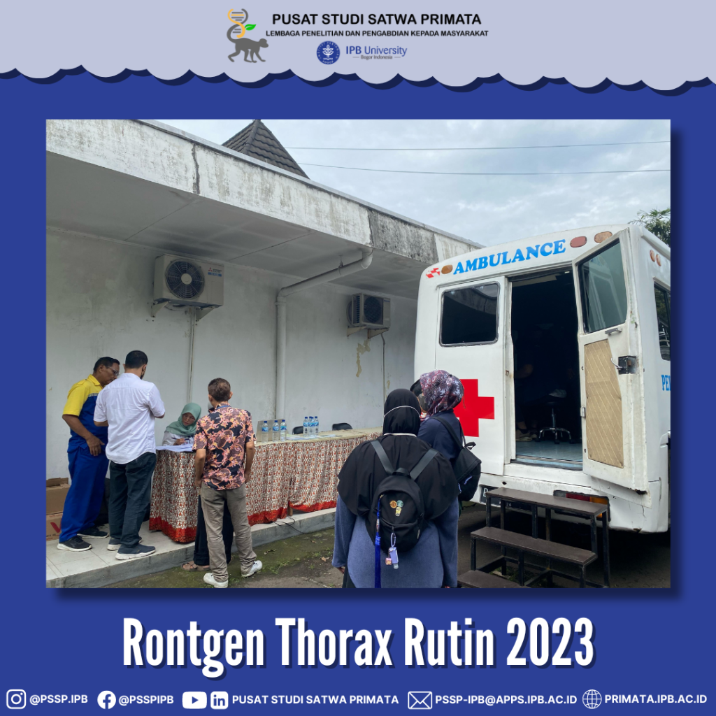 Rontgen Thorax Rutin 2023