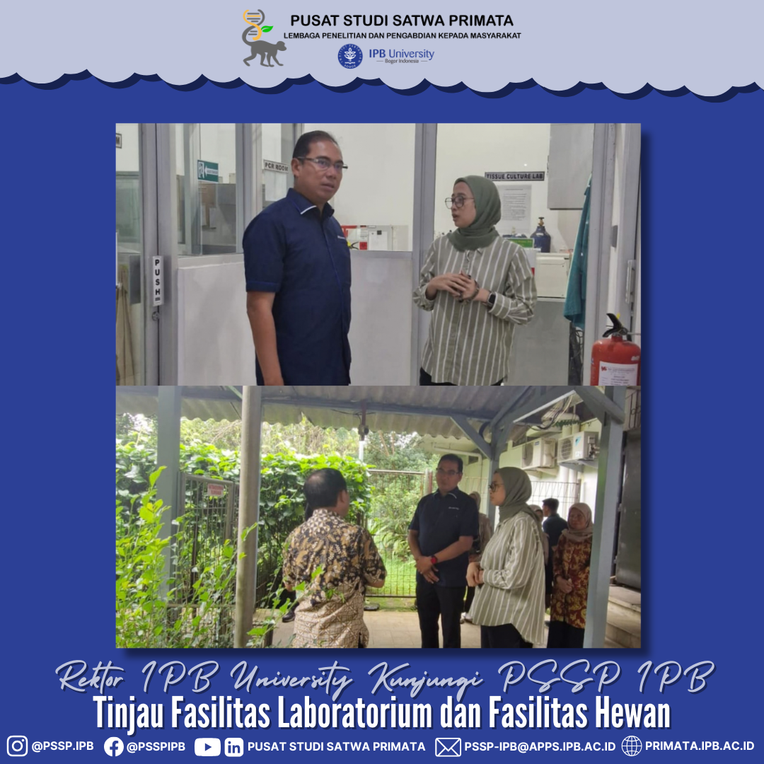 Rektor IPB University Kunjungi PSSP IPB, Tinjau Fasilitas Laboratorium dan Fasilitas Hewan Rektor IPB University Kunjungi PSSP IPB, Tinjau Fasilitas Laboratorium dan Fasilitas Hewan