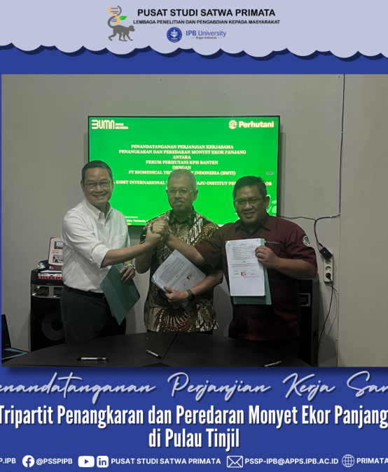 Penandatanganan Perjanjian Kerja Sama Tripartit Penangkaran dan Peredaran Monyet Ekor Panjang (Macaca fascicularis) di Pulau Tinjil