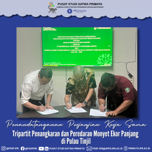 Tripartit Penangkaran dan Peredaran Monyet Ekor Panjang (Macaca fascicularis) di Pulau Tinjil